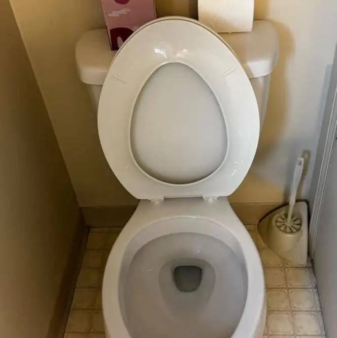 Same toilet bowl clean and stain-free after RX Cleaning Services cleaning